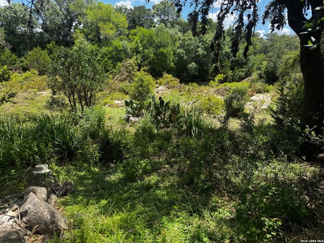 9317 Park Road 37, Lakehills, TX 78063