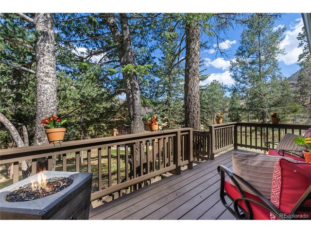 9120 Ute Rd, Cascade, CO 80809