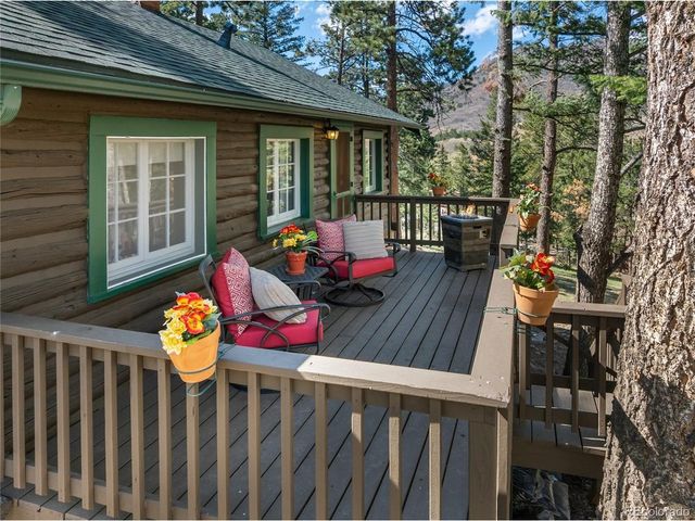 9120 Ute Rd, Cascade, CO 80809