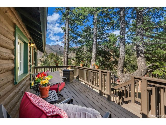 9120 Ute Rd, Cascade, CO 80809