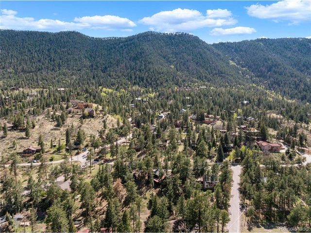 9120 Ute Rd, Cascade, CO 80809
