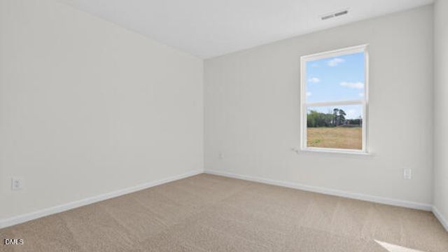 836 Comice Pear Way, Willow Springs, NC 27592