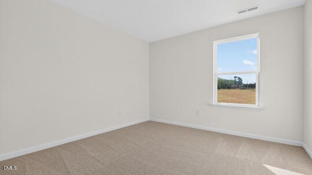 836 Comice Pear Way, Willow Springs, NC 27592