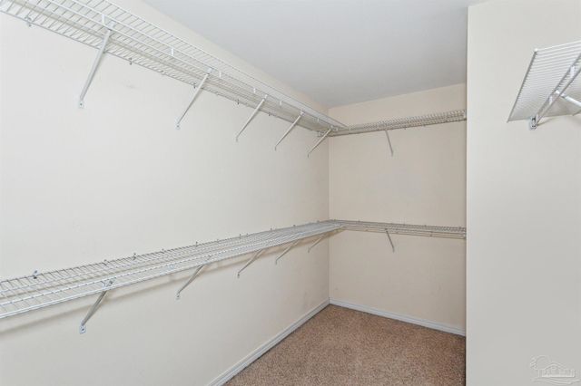 5933 Dunridge Dr, Pace, FL 32571