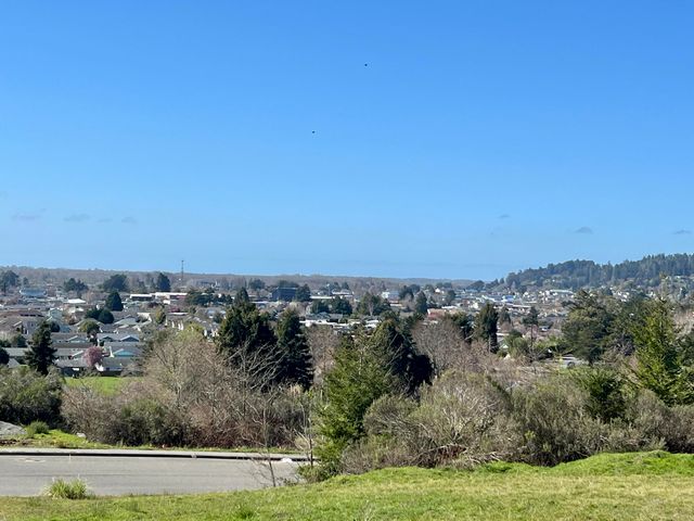 201 Ridge View Court, Fortuna, CA 95540