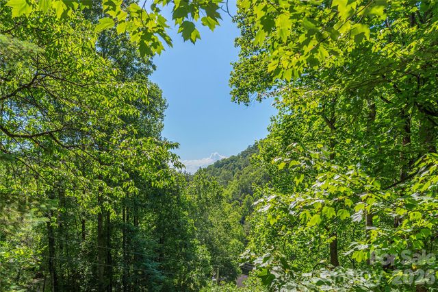 154 Timberside Drive, Mars Hill, NC 28754
