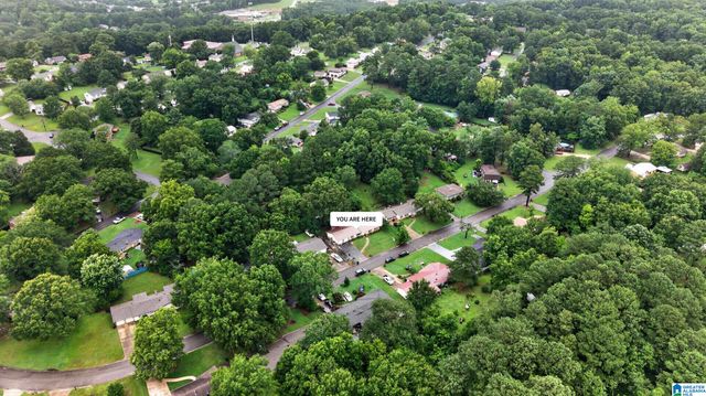 2122 VICKI DRIVE, Birmingham, AL 35235