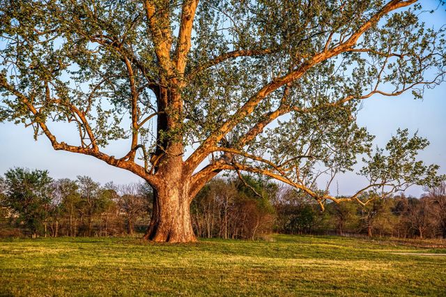 3401 Us Highway 290 E, Brenham, TX 77833