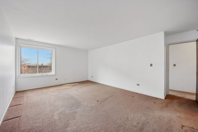 1727 W CRYSTAL Lane 311, Mount Prospect, IL 60056