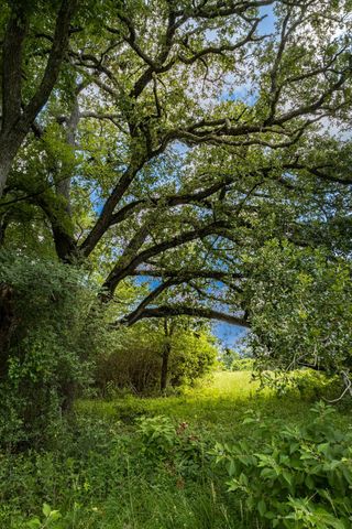 26701 B Nelson Road, Hempstead, TX 77445