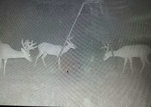 26701 B Nelson Road, Hempstead, TX 77445