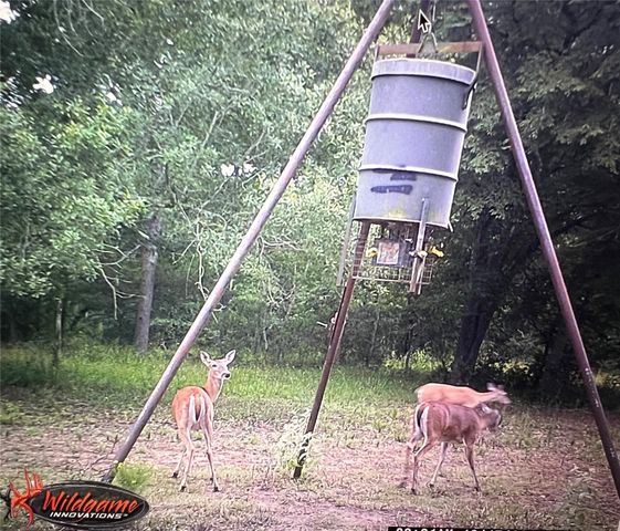 26701 B Nelson Road, Hempstead, TX 77445