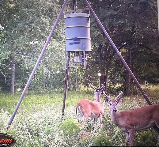 26701 B Nelson Road, Hempstead, TX 77445