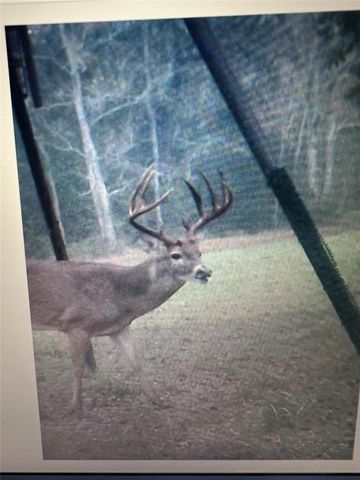 26701 B Nelson Road, Hempstead, TX 77445