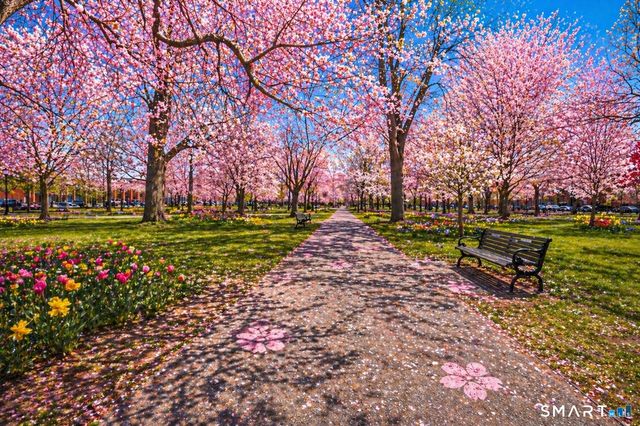 216 Saint John Street, New Haven, CT 06511