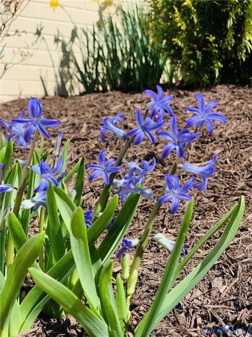 3031 Archdale Rd, Richmond, VA 23235