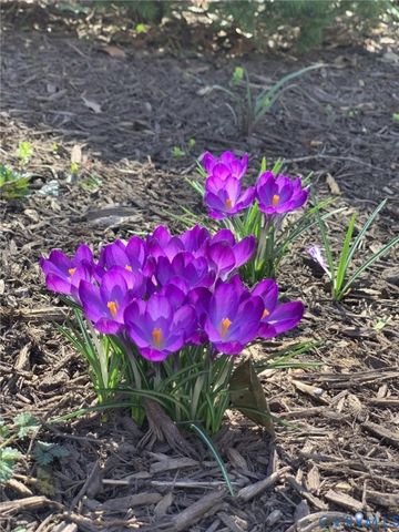 3031 Archdale Rd, Richmond, VA 23235