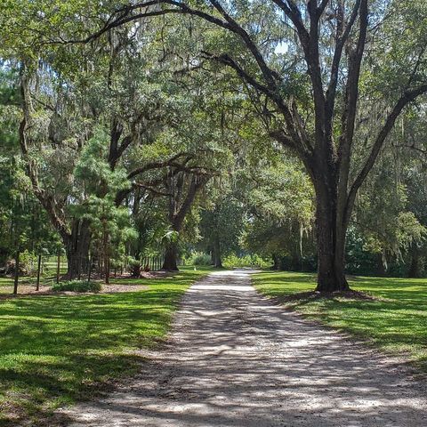 NW 115TH AVENUE, Reddick, FL 32686