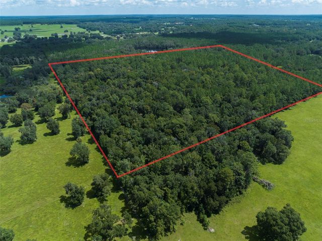 NW 115TH AVENUE, Reddick, FL 32686