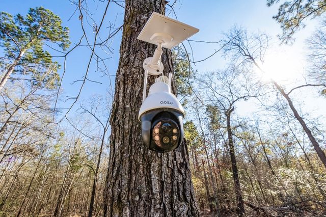 416 Windomere Drive, Livingston, TX 77351