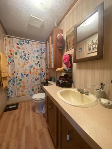 410 Acacia Way, Stanchfield, MN 55080