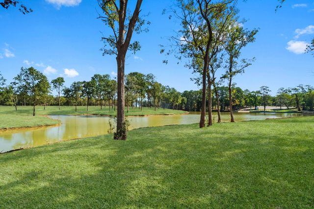 Lot 9 Lake Cove Court, Livingston, TX 77351