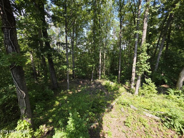 113 High Point Lane, Oak Ridge, TN 37830