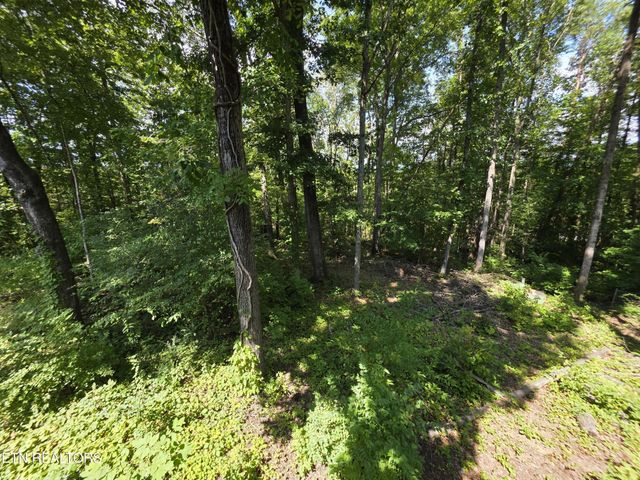 113 High Point Lane, Oak Ridge, TN 37830