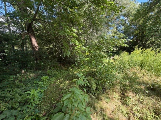 Lot 1 E Madison Street, Batavia, IL 60510