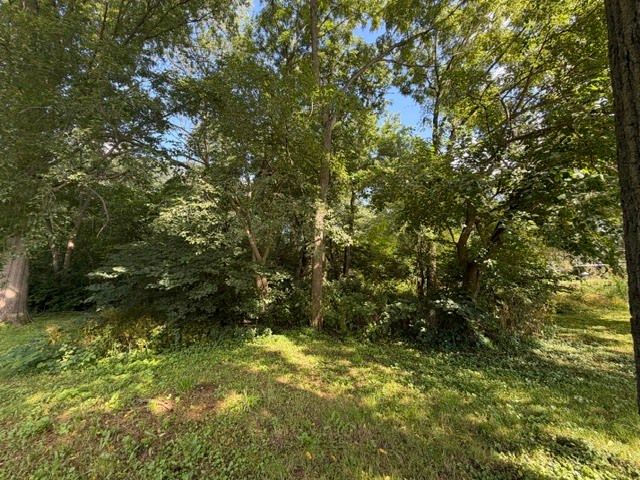 Lot 1 E Madison Street, Batavia, IL 60510