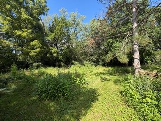 Lot 1 E Madison Street, Batavia, IL 60510