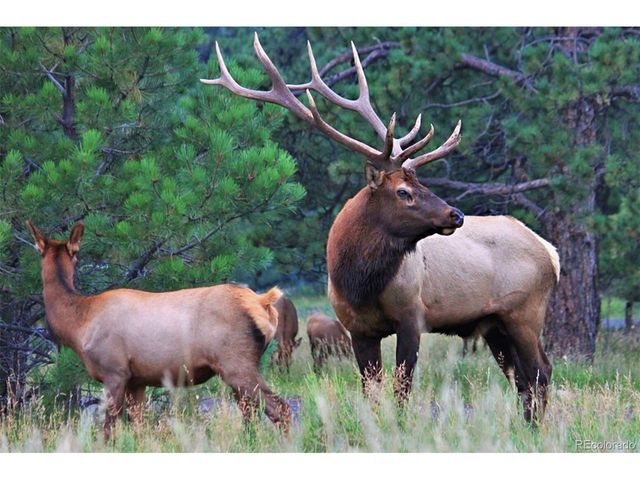 31354 Morning Star Dr, Evergreen, CO 80439