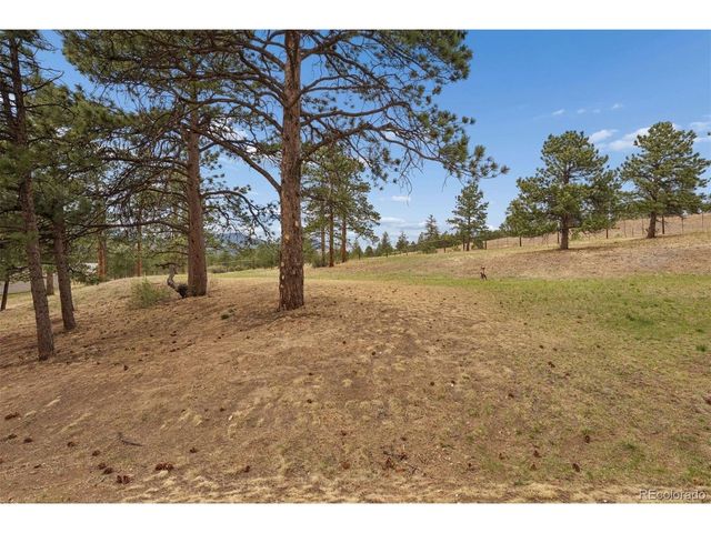 31819 Rocky Village Dr 101, Evergreen, CO 80439