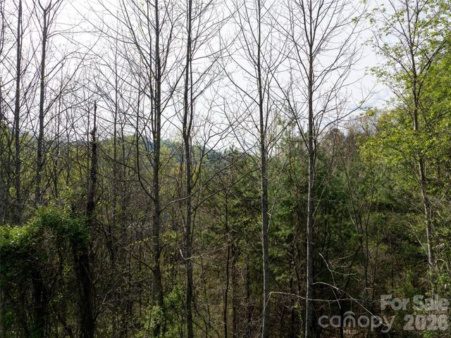 Lot 38 Sunnybrook Trail, Clyde, NC 28721