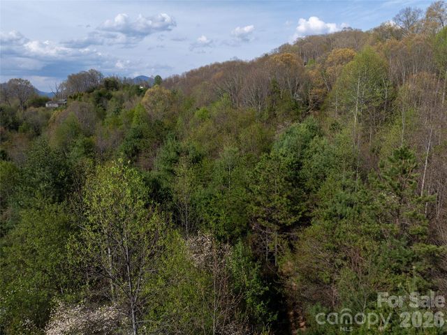 Lot 38 Sunnybrook Trail, Clyde, NC 28721