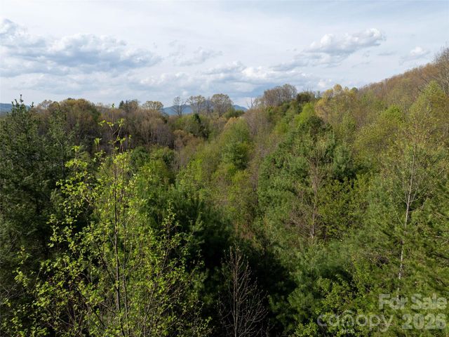 Lot 38 Sunnybrook Trail, Clyde, NC 28721