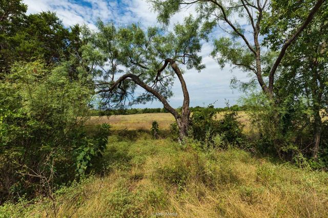 241 Whitetail Springs Lane, Gustine, TX 76455