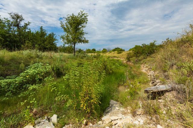 241 Whitetail Springs Lane, Gustine, TX 76455