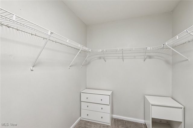 20393 Wildwood Lane, Strongsville, OH 44149