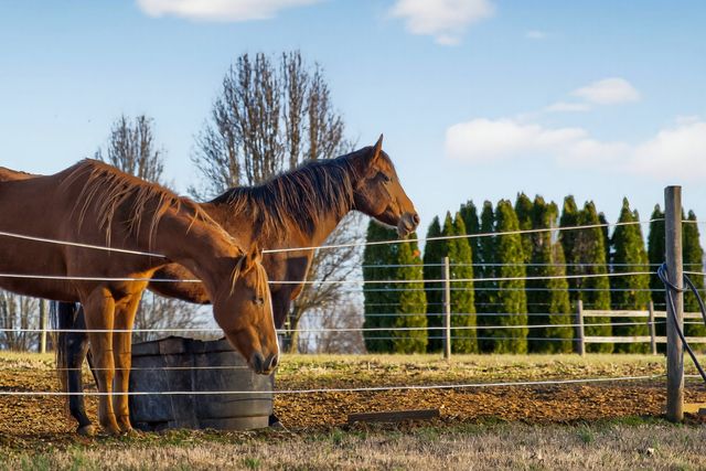 289 Martin Chapel Rd, Portland, TN 37148