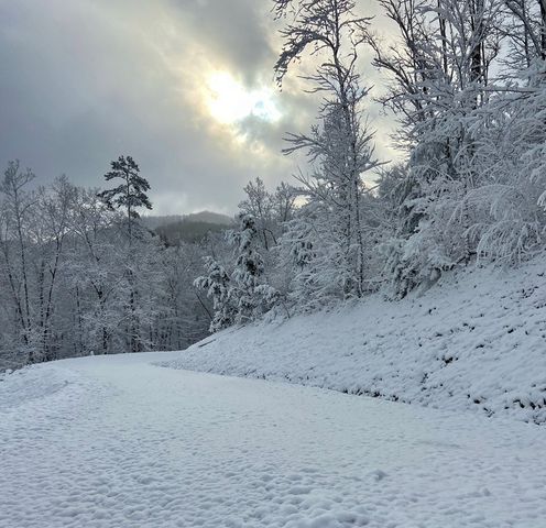 Lot 31 Grand Laurel, Brasstown, NC 28902