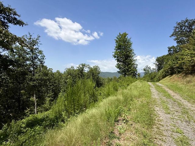 Lot 31 Grand Laurel, Brasstown, NC 28902