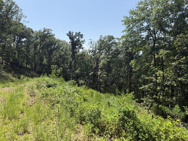 Lot 31 Grand Laurel, Brasstown, NC 28902