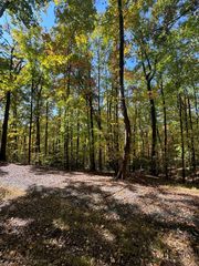 15 Turkey Cove Drive, Hayesville, NC 28904