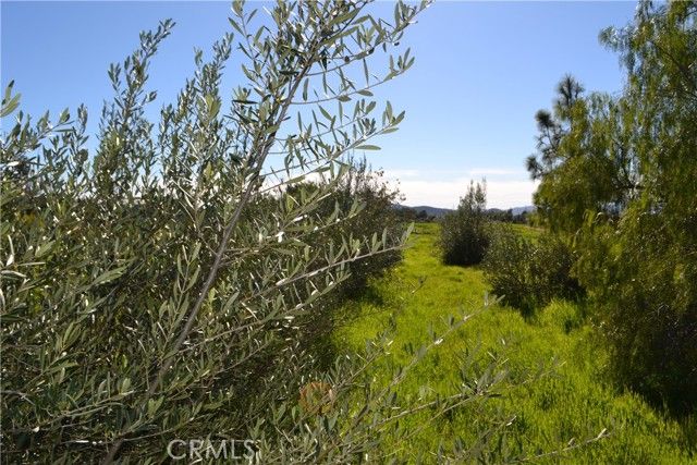 29580 Patelli Way, Menifee, CA 92585