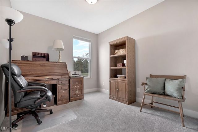 2769 Weeping Pine Drive, Medina, OH 44256