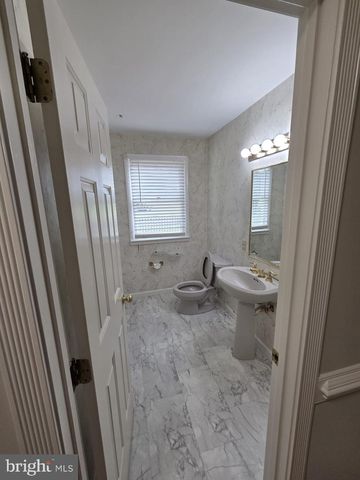 41234 BRIDGES FARM LN, Leesburg, VA 20175
