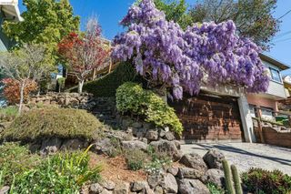 249 Trinity Ave, Kensington, CA 94708