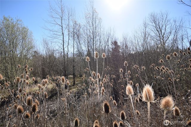 260 Secluded Way, Sequim, WA 98382