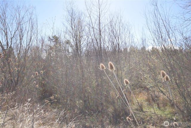 260 Secluded Way, Sequim, WA 98382